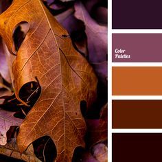 Violet Color Palette, In Color Balance, Wall Living Room, Color Schemes Colour Palettes, Color Palate, Design Seeds, Color Harmony, Color Balance, Living Room Bathroom