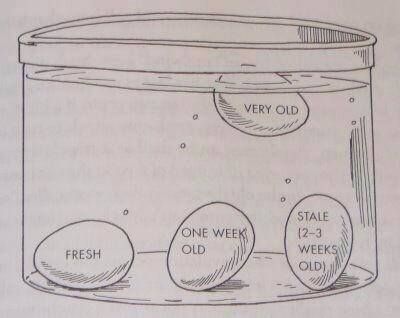 egg float test to see how fresh your eggs are Egg Test, Uppfostra Barn, 1000 Lifehacks, Crazy Kitchen, Building A Chicken Coop, Food Info, Simple Life Hacks, Food Facts, Raising Chickens