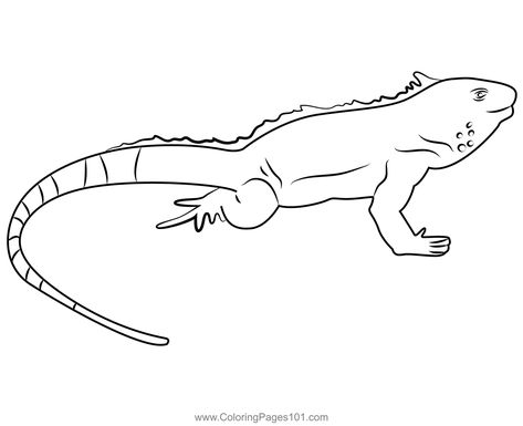 Scary Lizard Coloring Page Scary Lizard, After School Activities, Afterschool Activities, Activity Pages, Australian Animals, Color Activities, Lizards, Animal Theme, Free Kids