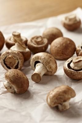 Disadvantages of Growing Mushrooms Indoors Crockpot Mushrooms, Growing Mushrooms Indoors, How To Store Mushrooms, Mushroom Varieties, Mushroom Kits, Crimini Mushrooms, Balsamic Reduction, Cooking Advice, Portobello Mushroom