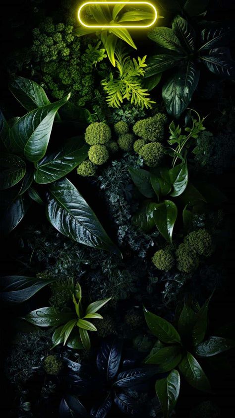 15pro Wallpaper, I Phone 15 Pro Wallpaper Hd, Iphone 15 Pro Max Wallpaper Hd 8k, Iphone 15 Pro Wallpaper 8k, Neon Iphone Wallpaper, Neon Plants, Iphone 15 Pro Max Wallpaper, Cool Backgrounds For Iphone, Dynamic Island