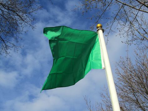 Green flag...taken on our walk this morning! Easy Nature Drawings, Nature Drawings, Green Flag, Flag Painting, Mata Ji, Devi Temple, Nature Drawing, Plan B, Vision Boards