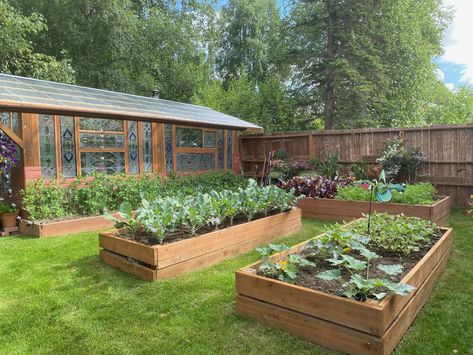 Stained-Glass Greenhouse in Alaska - FineGardening Windows Greenhouse, Door Greenhouse, Self Sustainable Living, Nz Garden, Window Greenhouse, Glass Greenhouse, Forever Home Ideas, Best Greenhouse, Back Of House