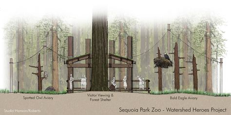 Sequoia Park Zoo Watershed Heroes Eagle and Owl Section - Studio Hanson Roberts Park Reference, Diy Bird Cage, Zoo Tycoon, Zoo Design, Zoo Project, Zoo Architecture, Owl Species, Wildlife Rescue, Zoo Park