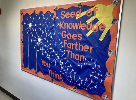 Make A Wish Bulletin Board, Kindergarten Bulletin Boards, School Board, Make A Wish, Bulletin Boards, Preschool Crafts, Chalkboard Quote Art, Door Decorations, Kindergarten