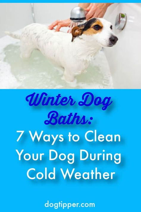 Dog Baths, Bathing Tips, Dog Bathing Station, Dog Bathing, Winter Shower, Dog Washing Station, Outside Dogs, Dog Smells, Dog Cleaning