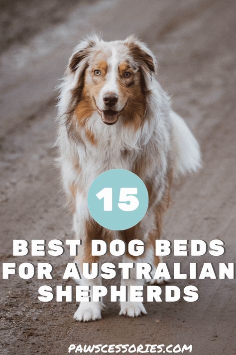 Each of the bed options can be a great fit for whatever personality your australian shepherd has, there’s no 1-size-fits-all bed and we hope you found the one your pupster will love. Best Dog Beds For Medium Dogs, Adoption Tips, Dog Beds For Large Dogs, Indestructable Dog Bed, Bed Options, Aussie Dog, Waterproof Dog Bed, Elevated Dog Bed, Aussie Puppies