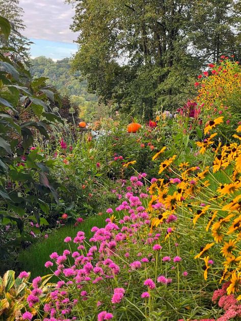 Fall gardening for beginners made easy! Learn how to plant, care for, and harvest a bountiful autumn garden of vegetables and flowers. Fall Garden Inspiration, Fall Vegetable Garden, Autumn Gardening, Fall Gardening, Fall Planting, Ornamental Kale, Fall Vegetables, Fall Garden Vegetables, Thriving Garden