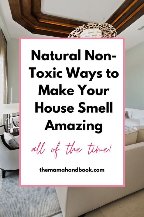 Learn how to naturally make your house smell good! These are the best non toxic ways to make house smell good. From simmer pots to natural candles, these fragrances are the best. Stop wondering how to make your house smell good and read this article! Make House Smell Good, Make Your Home Smell Good, Make Your House Smell Good, Home Smell Good, Simmer Pots, Make Your Home Smell Amazing, Best Home Fragrance, All Natural Cleaners, House Smell Good