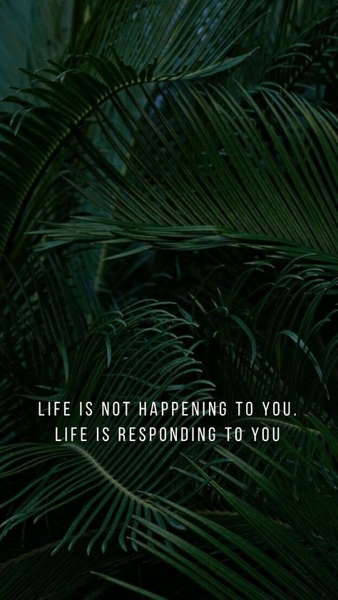 #life #quotes #green #jungle Jungle Quotes, Jungle Life, Green Quotes, Green Jungle, Jungle Room, Dark Green Aesthetic, Deep Thinking, Words Of Wisdom Quotes, Top Quotes