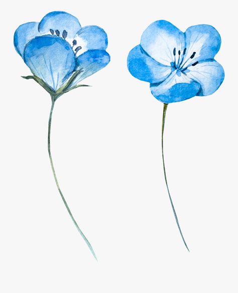 Light Blue Png, Watercolor Flower Vector, Light Blue Watercolor, Blue Watercolor Flowers, Light Watercolor, Flower Icon, Blue Png, Blue Drawings, Blue Flower Painting