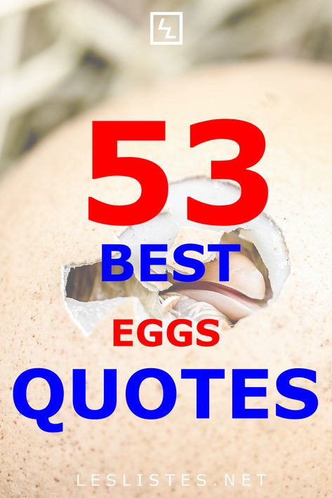 Did the chicken or the egg come first? No one knows…However, you can check out the top 53 eggs quotes that you should know. #eggs #quotes Eggs Quotes, Egg Quotes, Best Boiled Eggs, Russian Proverb, Charlie Chan, Ham And Eggs, Top 10 List, Chicken Eggs, An Egg