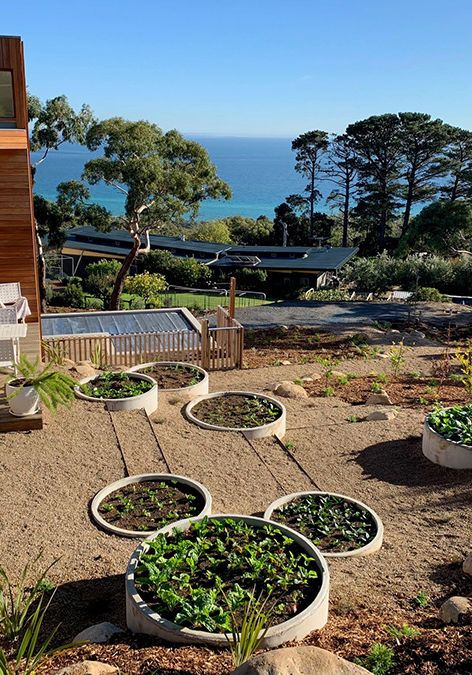 raised garden beds | Statewide Concrete Veggie Garden Design, Vege Garden, Hill Garden, Raised Garden Planters, Australian Native Garden, Planter Beds, Potted Plants Outdoor, Greenhouse Ideas, Garden Inspo