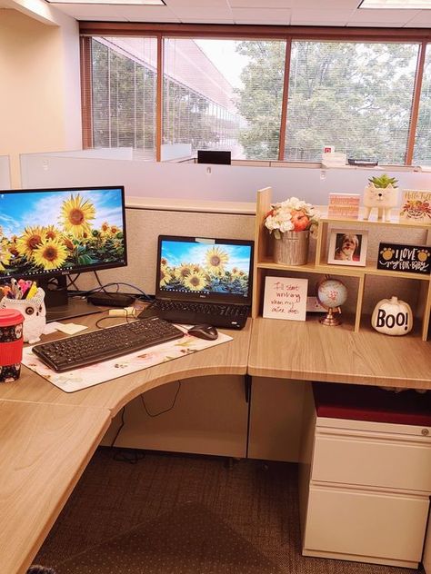 Fall Work Cubicle Decor, Office Cubicle Organization Ideas, Office Desk Ideas At Work Cubicles, Work Cubical Decor, Dark Cubicle Decor, Cubicle Fall Decorations, Cute Cubical Ideas, Fall Decor For Office Cubicle, Cubicle Decorating Ideas For Work