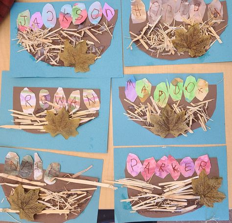 Birds Nest Activity For Preschool, Nest Art Preschool, Nest Activity Preschool, Making Bird Nests Preschool, Birds And Nests Preschool, Bird Sensory Bin Preschool, Birds Reggio Emilia, Spring Bird Crafts Preschool, The Best Nest Preschool Activities