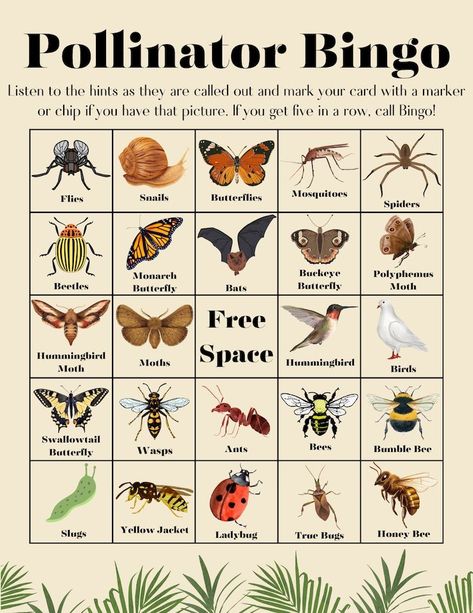 Pollinator Bingo (35 Cards) Ahg Nature And Wildlife Badge, Pollinator Lessons For Kids, Pollinator Scavenger Hunt, Pollinators Activities, Pollinator Activities For Kids, Forest Crafts For Preschool, Pollination Activities For Kids, Pollinator Activities, Pollinator Activity