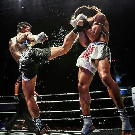 Kickboxing Reference, Kickboxing Art, 남성 근육, Boxe Thai, Sports Motivation, Trening Sztuk Walki, Boxing Ring, Boxing Match, Action Pose Reference