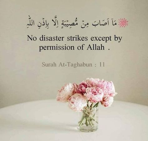 Jummah Quotes, Calming Mind, Quran Ayat, Quranic Verses, Awareness Quotes, Ramadan Day, Online Quran, Hadith Quotes, Learn Quran