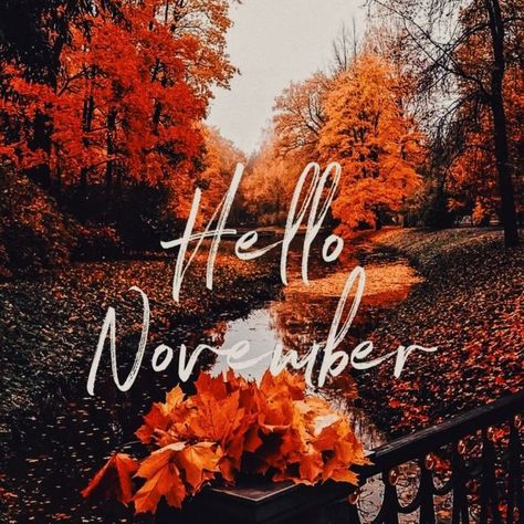 Welcome November Aesthetic, November Asethic, November Widget, November Aesthetic Wallpaper, November Wallpaper Aesthetic, Hello Novembre, November Aesthetic, Welcome November, Fall Magic