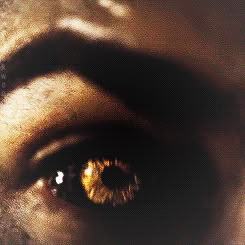 Hybrid Eyes Tvd, Vampire Diaries Werewolf, Hybrid Aesthetic Werewolf Vampire, Werewolf Eyes Aesthetic, Hybrid Vampire Werewolf, Lycanthrope Aesthetic, Nocturnal Aesthetic, Vampire Werewolf Hybrid, Werewolf Gif