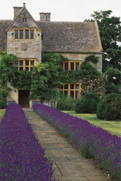 Front Path, Naturalistic Garden, Casa Country, Lavender Garden, Low Maintenance Landscaping, Front Yard Garden, Kew Gardens, Garden Cottage, Country Gardening