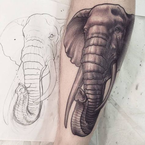 Neotraditional style elephant tattoo on the right calf. Black And Grey Elephant Tattoo, Elephant Tattoo Neo Traditional, Neotraditional Elephant Tattoo, Elephant With Trunk Up Tattoo, Elephant Trunk Up Tattoo, Elephant Head Tattoo Design, American Traditional Elephant, Laos Tattoo, Traditional Tattoo Elephant