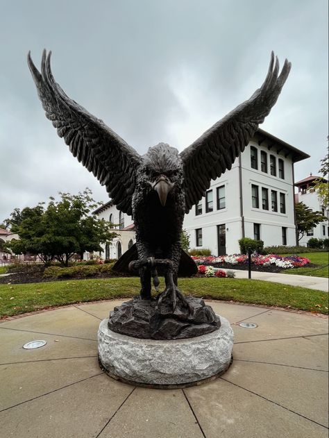 red hawk, msu, montclair, montclair state university, new jersey, go red hawks, montclair aesthetic, montclair state university aesthetic, montclair state, aesthetic Montclair State University Aesthetic, Montclair New Jersey, Montclair State University, University Aesthetic, 2024 Goals, Dream College, Life Board, Go Red, School Tops