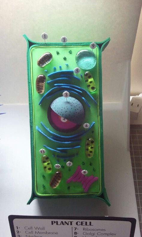 Plant cell project Cell Module Project, Cell 3d Project, Plant Cells Model, Animal Cell Project 3-d, Plant And Animal Cells Project, Palisade Cell, 3d Plant Cell, Animal Cell Model, Plant Cell Project