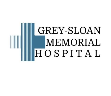 Seattle Grace Hospital Greys Anatomy, Grey Sloan Memorial Hospital Logo, Greys Anatomy Logo, Hospital Logo, Memorial Hospital, Grey's Anatomy, Design Graphique, Greys Anatomy, Anatomy