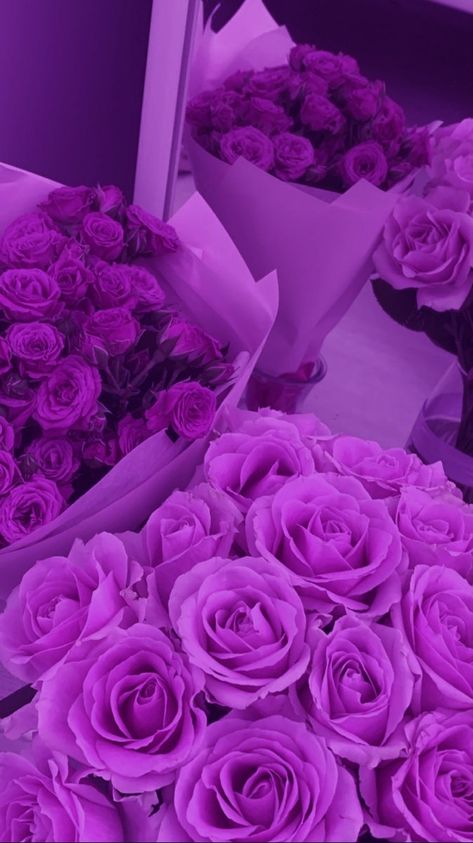 Roses Easy Room Decor, Girl Iphone Wallpaper, Aesthetics Quote, Girl Advice, Roses Bouquet, Glitter Roses, Fire Art, Purple Glitter, Purple Aesthetic