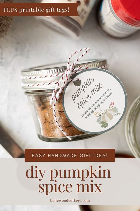 Homemade Pumpkin Spice Mix, Sugar Spun Run, Pumpkin Pie Spice Recipe, Pie Spice Recipe, Diy Pumpkin Spice, Pumpkin Pie Spice Mix, Train Pumpkin, Cream Cheese Mints, Pumpkin Spice Recipe