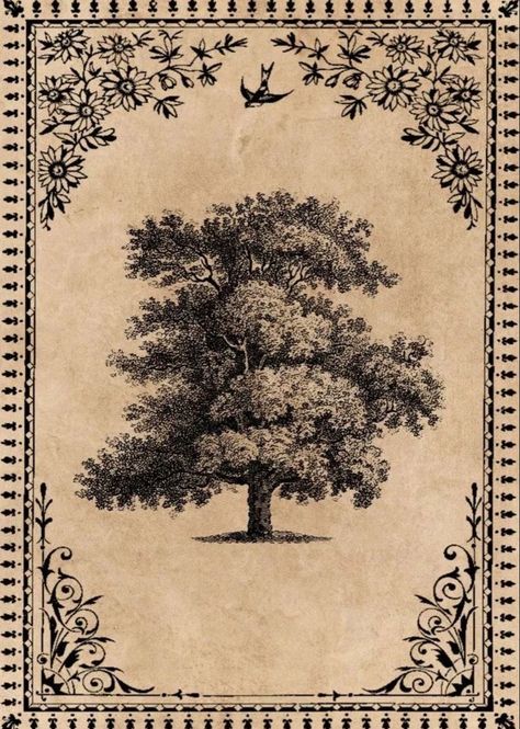 Books Antique, Arte Occulta, Old Paper Background, Seni Vintage, Free Vintage Printables, Picture Collage Wall, Vintage Tree, Printable Vintage, Foto Vintage