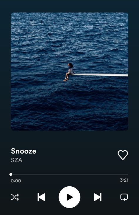 Any songs you would like to see? Snooze By Sza, Sza Spotify, Kill Bill, Songs, Music