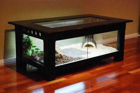 Coffee table terrarium for office pet Diy Reptile Enclosure, Class Pets, Aquarium Coffee Table, Snake Cages, Diy Reptile, Snake Terrarium, Snake Enclosure, Unique Terrarium, Bearded Dragon Habitat