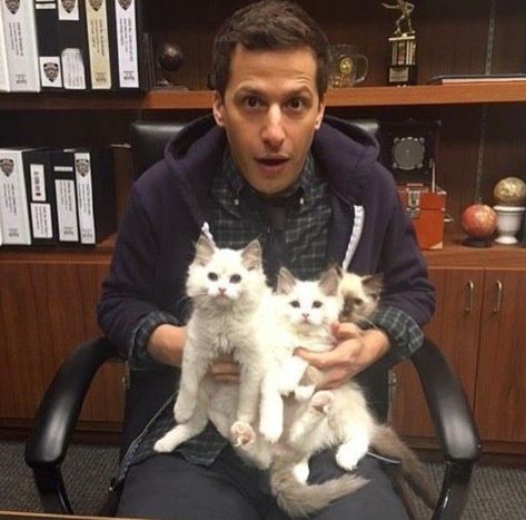 Brooklyn 99 Cast, Brooklyn Nine Nine Funny, Jake And Amy, Brooklyn 9 9, Amy Santiago, Jake Peralta, Memes Lol, Andy Samberg, Hayden Christensen