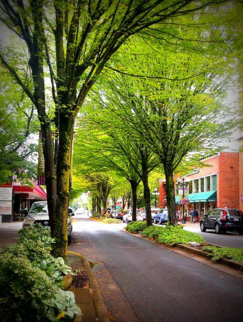 #Eugene #Springfield #Oregon #homes #PropertyManagement #rentals Eugene Oregon Downtown, Oregon Homes, Oregon Aesthetic, Springfield Oregon, Aesthetic Scenery, Explore Oregon, Oregon Photography, Oregon City, Eugene Oregon