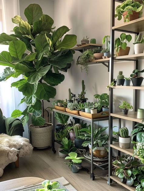 Big Plant In Bedroom, House Plants Aesthetic, Rose Campion, Easy Care Houseplants, Fairy Room, Vision 2025, Plant Mama, Bedrooms Ideas, Bedroom Remodel