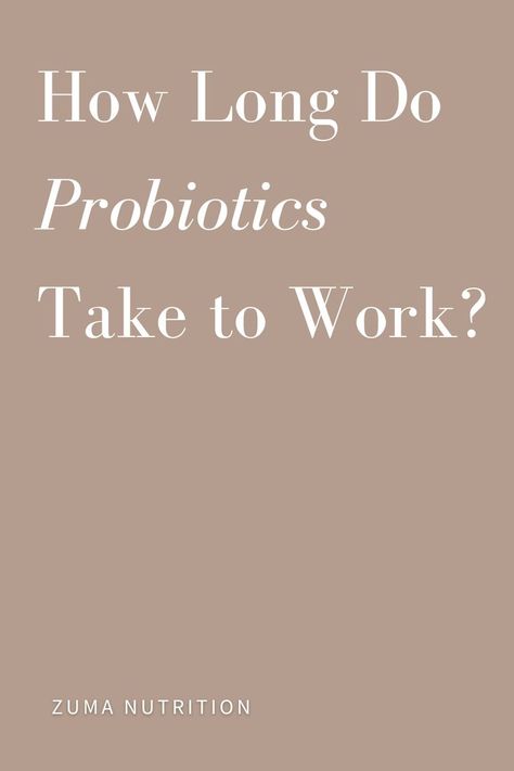 Probiotics have become very popular in recent years as there is a growing body of research revealing their many potential health benefits. From promoting digestive health to bolstering the immune system, these live microorganisms have gotten attention for their numerous roles in maintaining overall well-being. However, one common question that people wonder when considering probiotic supplementation is, "How long does it take for probiotics to work?" Prebiotic Benefit, Probiotic Benefits, Gut Health Recipes, Healthy Microbiome, Upset Stomach, The Immune System, Digestive Health, Gut Health, Probiotics