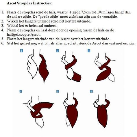 Tying an ascot (nabbed from Facebook) How To Tie An Ascot, Tie An Ascot, Dapper Outfit, Ascot Ties, Men's Fashion, Sewing, My Style, Quick Saves, Clothes