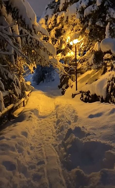 Winter Aesthetic Forest, Snowy Farm, Winter In The Woods, Mountain Aesthetic, Cabin Trip, Cabin Aesthetic, Forest Cottage, Bedroom Decor For Teen Girls, Forest Trail