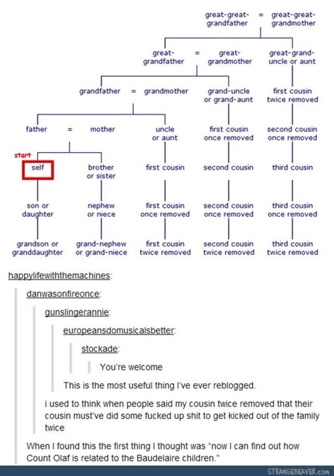 Sorry for the cussing, but this is so useful!! Raw Lines, Count Olaf, Family Tree Chart, The More You Know, Writing Help, What’s Going On, Writing Inspiration, Tumblr Posts, Tumblr Funny