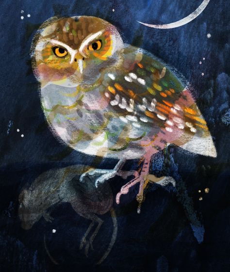 Flying Illustration, Owl Flying, Artsy Crafts, Wooden Apple, Saw Whet Owl, Kiki Smith, Whimsical Owl, Bird Paintings, Owl Illustration