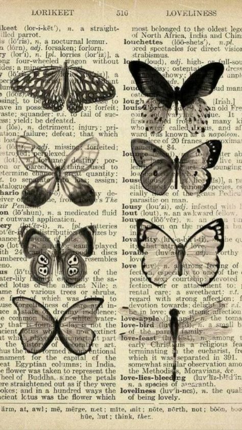 Dark Academia Posters, Vintage Foto's, Butterfly Poster, Goblin Core, Apartment Aesthetic, Aesthetic Ideas, Photo Wall Collage, Collage Wall, Art Collage Wall