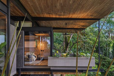 Rainforest House, Hydraulic Tiles, Jungle House, Bamboo Structure, Nosara, Contemporary Building, House Studio, Resort Villa, Building Techniques