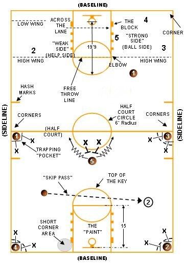 Basketball Court Dimensions Basketball Positions On Court, Basketball Grind, Youth Basketball Plays, Basketball Court Dimensions, Basketball Positions, Youth Basketball Drills, Basketball Practice Plans, Proper Running Technique, Coaching Basketball