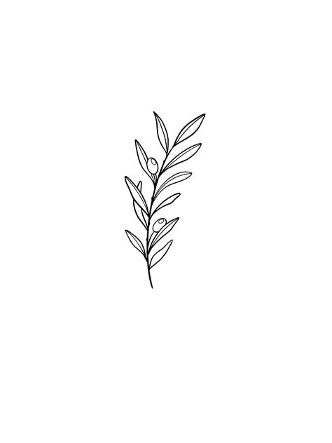 Olive Branch Line Drawing, Olive Branch Logo Design, Olive Branch Line Art, Celery Tattoo, Olive Branch Outline, Olive Sketch, Olive Branch Drawing, Olivia Tattoo, Reborn Tattoo