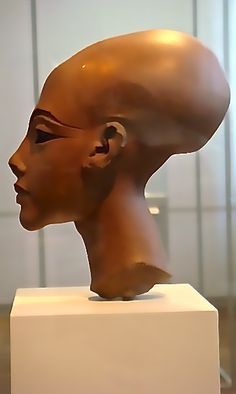 A Comparison Of Elongated Skulls: Paracas Peru, Egypt And Russia/Black Sea - Hidden Inca Tours King Akhenaten, Pergamon Museum, Istoria Artei, Ancient Astronaut, Oldest Daughter, Egyptian Artifacts, Art Premier, Body Modification, Egyptian History