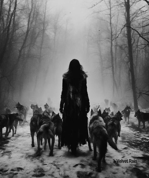 Running With Wolves Aesthetic, Werewolf Dark Aesthetic, Women Who Run With The Wolves Aesthetic, Wolves Aesthetic, Wolf Witch, Voodoo Magic, Werewolf Aesthetic, Witch Spirituality, Earth Angel