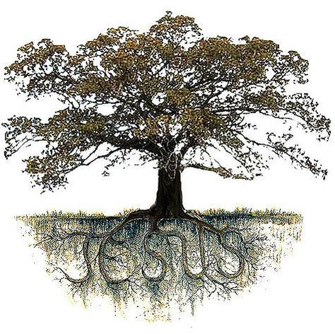 Jesus as the roots of a Kabbala Tree of Life! This is often an excuse they use to have a Tree of Life as the logo and name of a ministry. -- Original Title: "Tree of Life Church / http://tlccarlisle.org" Tattoo Tree Roots, Tree Of Life Pictures, Jesus Tree, Palm Tree Drawing, Wall Sayings, Tattoo Tree, Women's Retreat, Retreat Ideas, Yearbook Ideas