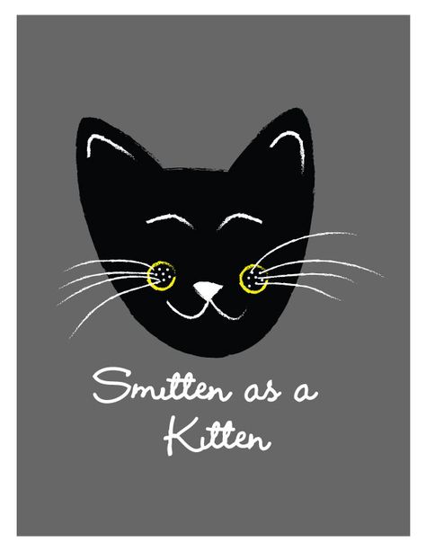 Smitten as a Kitten Kitten Paws, Love Of A Lifetime, Smitten Kitten, Love Kittens, Kitten Images, Interesting Pictures, Kitten Pictures, Love Dating, All About Cats